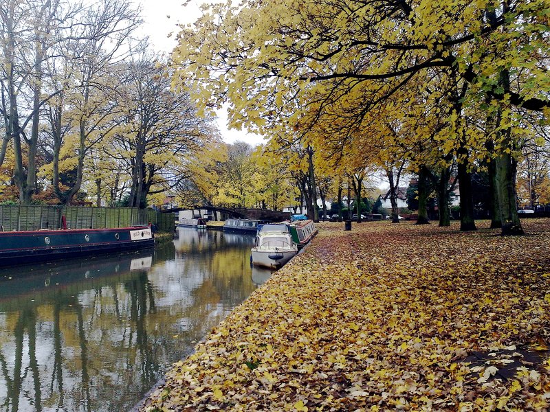 Canal late autumn 2.jpg