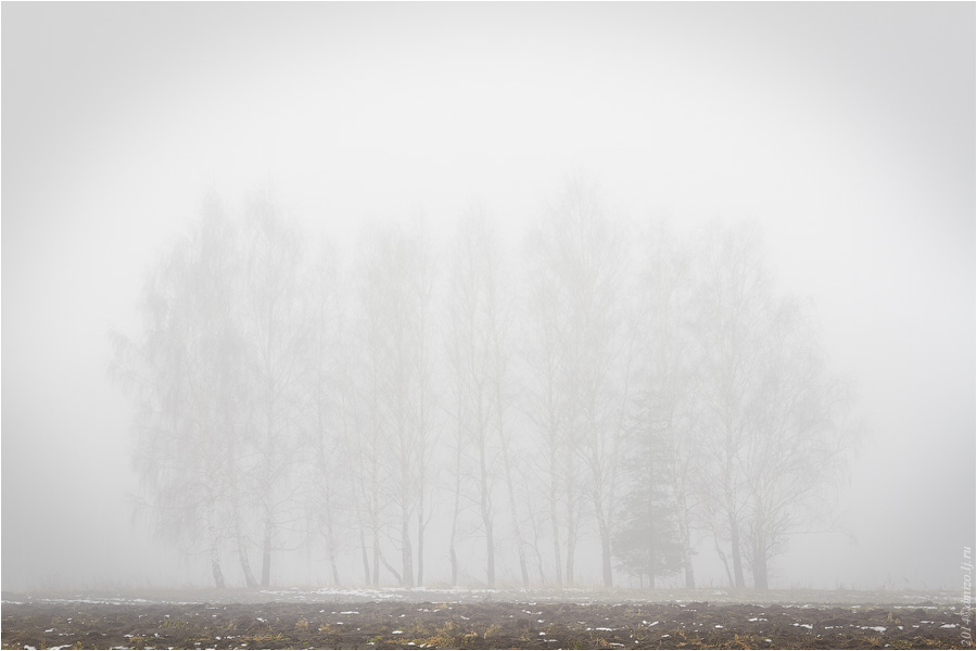 2014-01-09 туман в Липицах 01