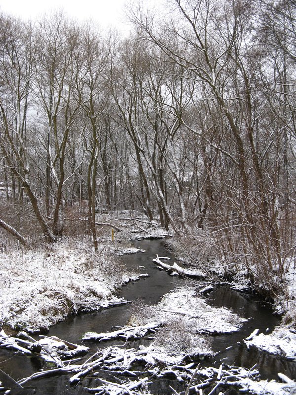 декабрь 2011 первый снег.