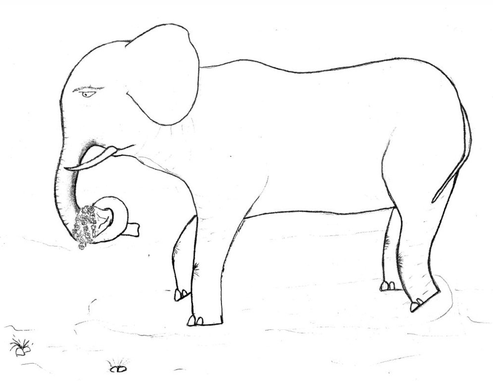 Слон.jpg