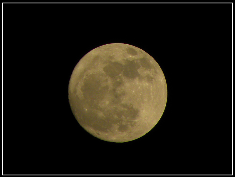 Luna-1.jpg