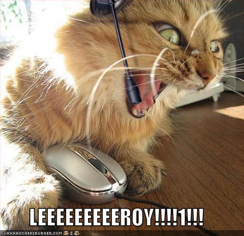 lolcats-funny-pictures-leroy-jen