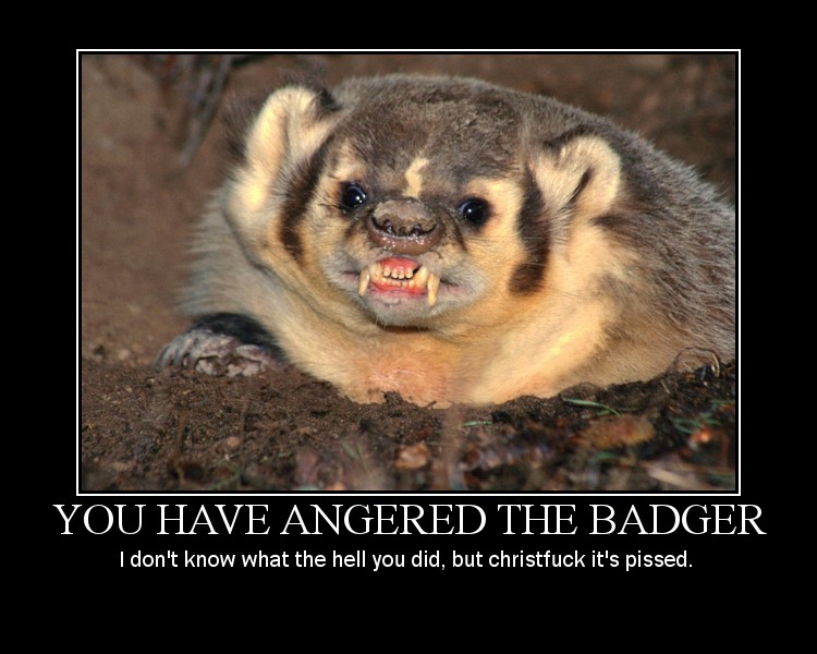 Angry_badger.jpg