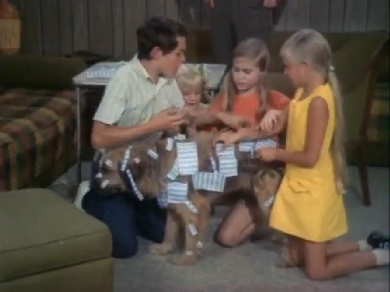 The Brady Bunch (S1) - 54-40 and
