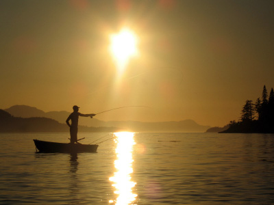 Sun-Fishing.jpg