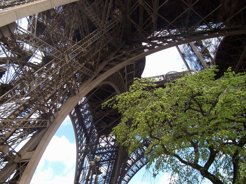 bottom of Eiffel Tower (2) - Cop