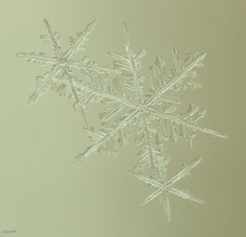 Снежинки (Snowflake)