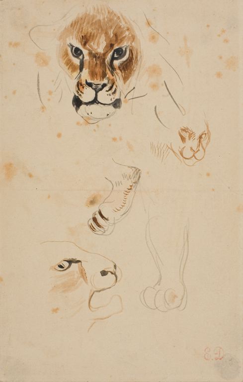 Heads and Paws of Lions, n.d.wt.