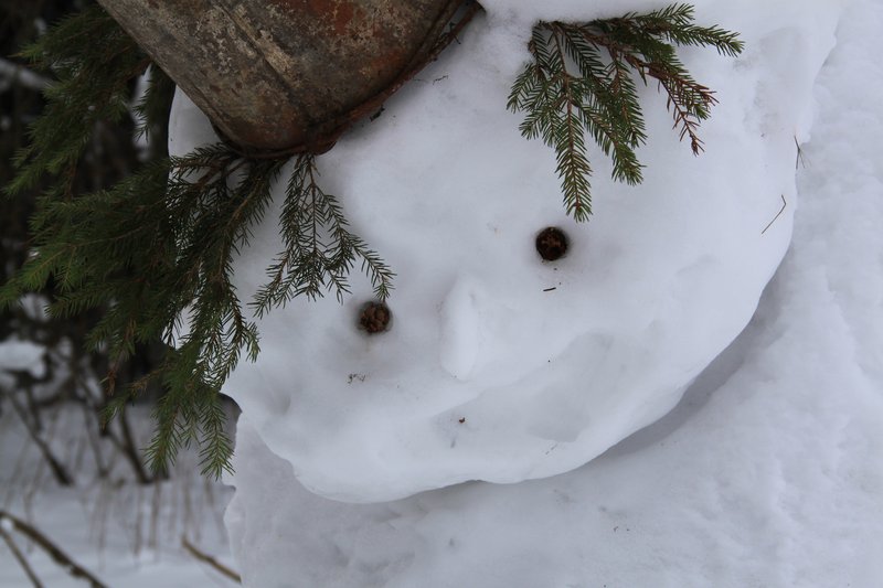 27.01.12г. улыбка снеговика.jpg