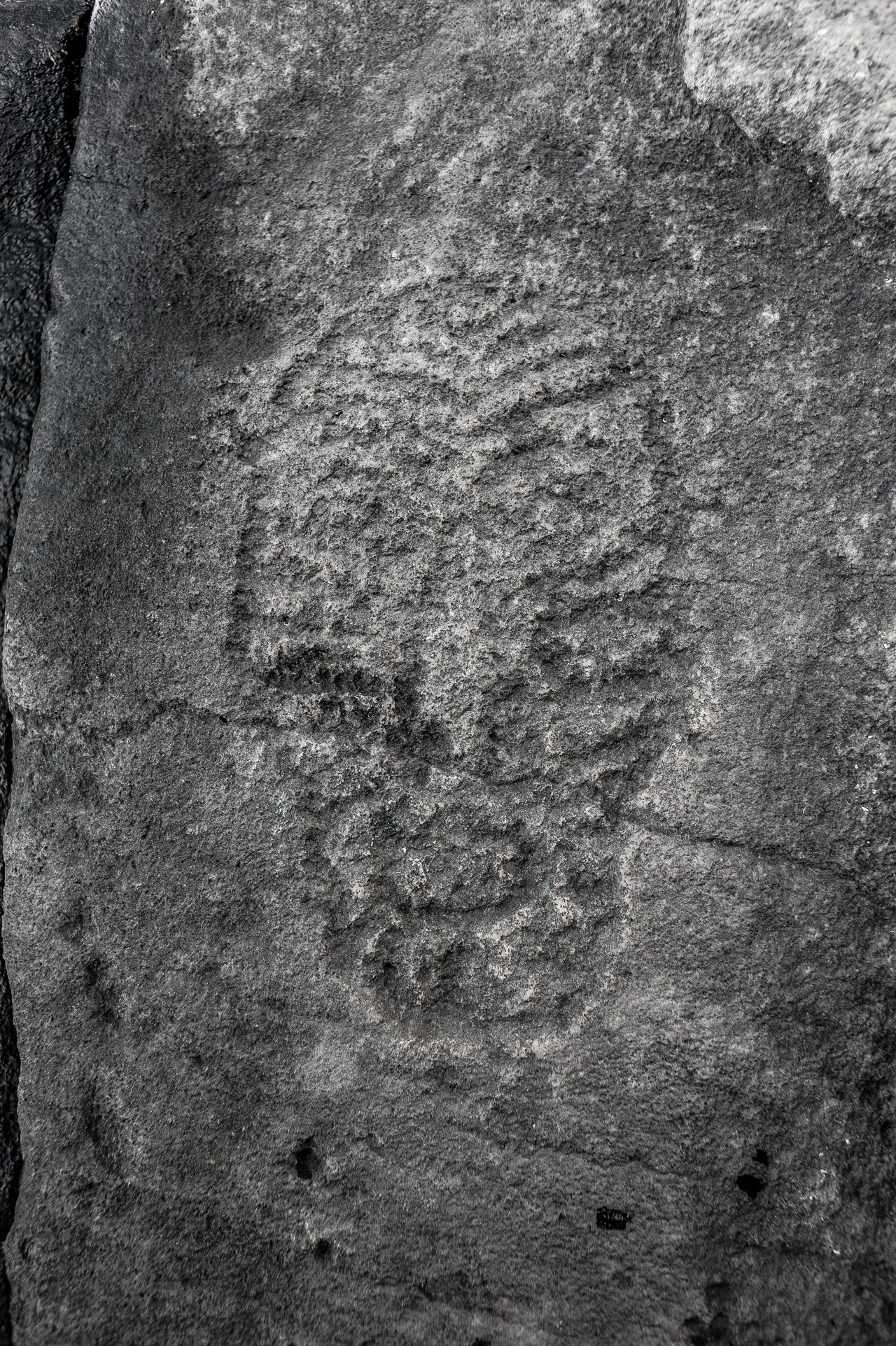 003 Petroglyph Foto 1.jpg
