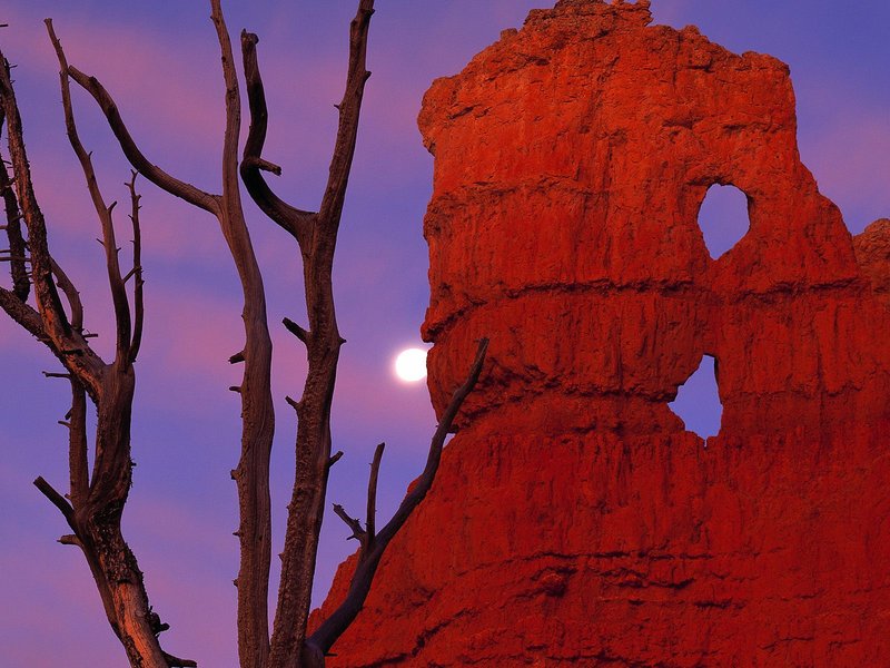 Moon Over Bryce Canyon National