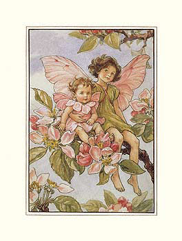 08401091~The-Apple-Blossom-Fairy