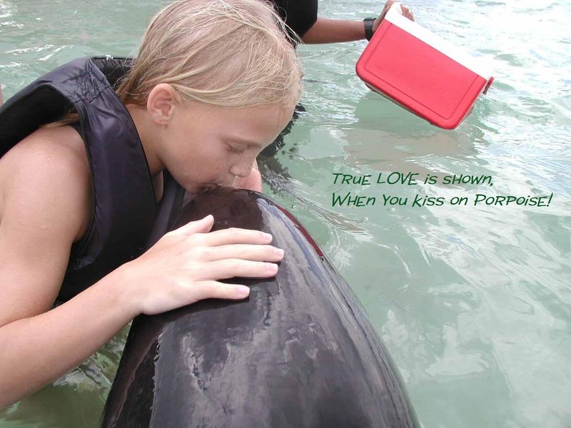 kissing on porpoise.jpg