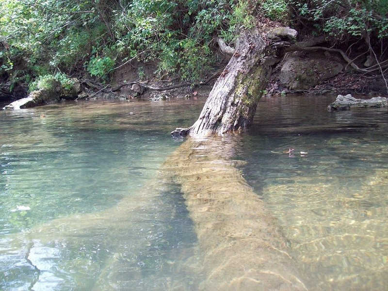 current river 2011- 2.jpg